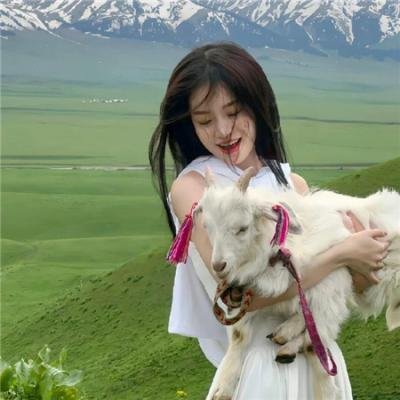 恶报 在线观影